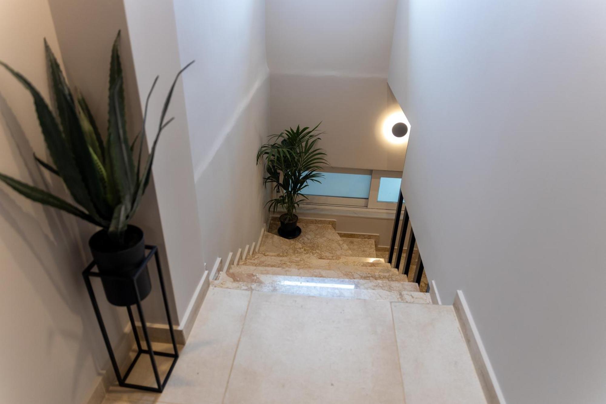 Apartment Zaf *